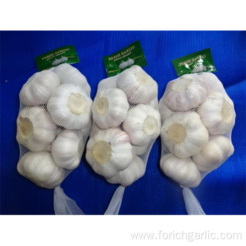 Fresh Normal White Garlic Hot Sale